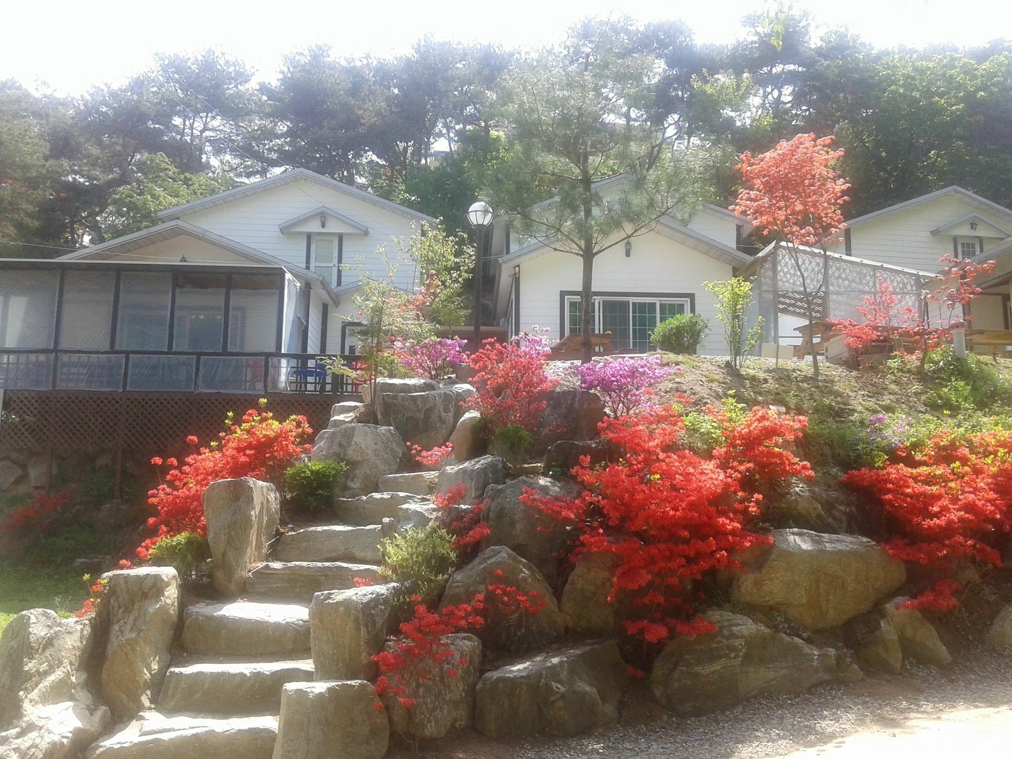Hwangto Green Village Pension Yongin Eksteriør bilde